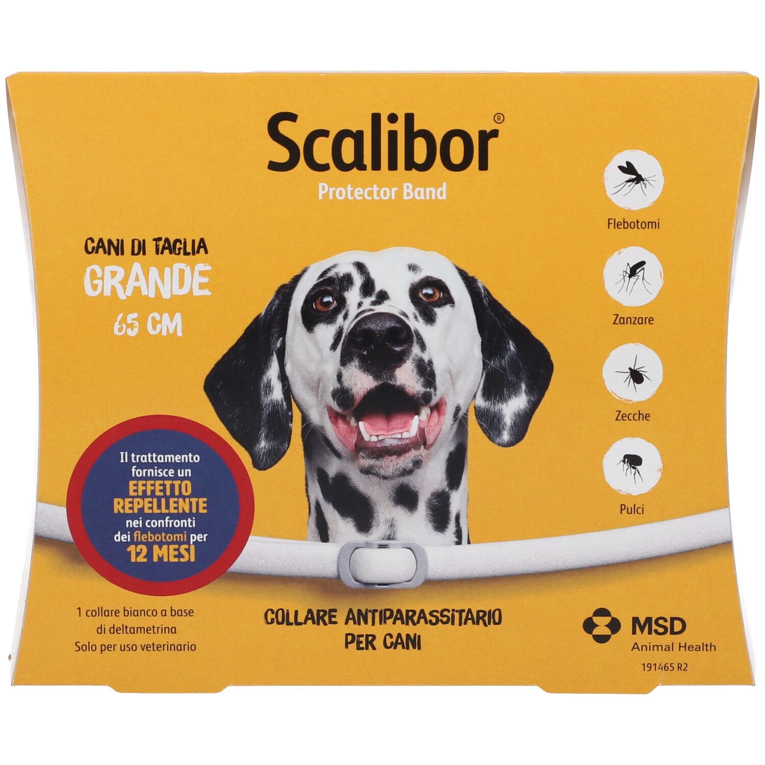 Confezione con cane. Testo: Scalibor Protector Band, Collare Antiparasitario Per Cani, 65 cm. Collare bianco.