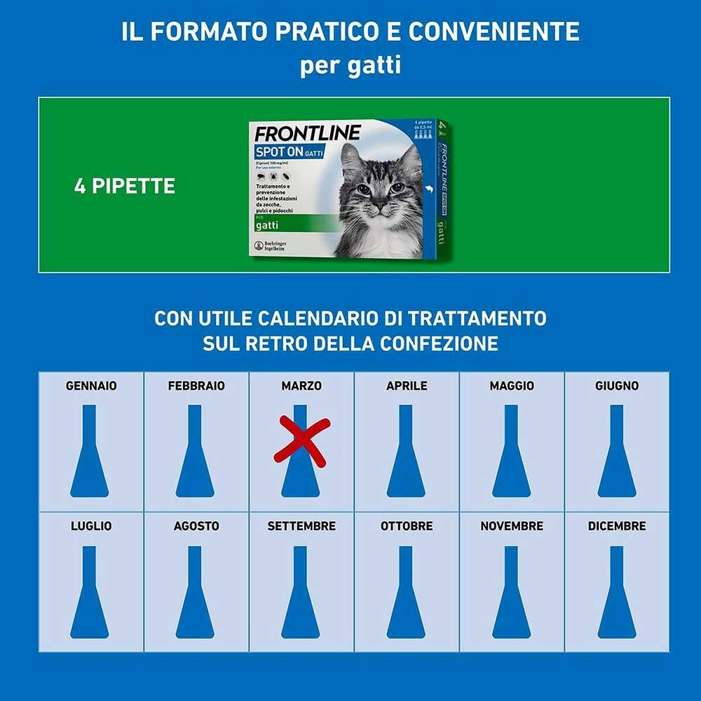 Confezione di Frontline Spot On Gatti con 4 pipette. Calendario di trattamento sul retro.