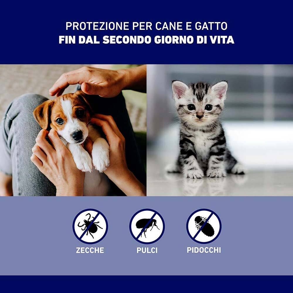 Foto di cucciolo e gattino. Sotto, simboli zecche, pulci e pidocchi. Testo: Protezione per cani e gatti.
