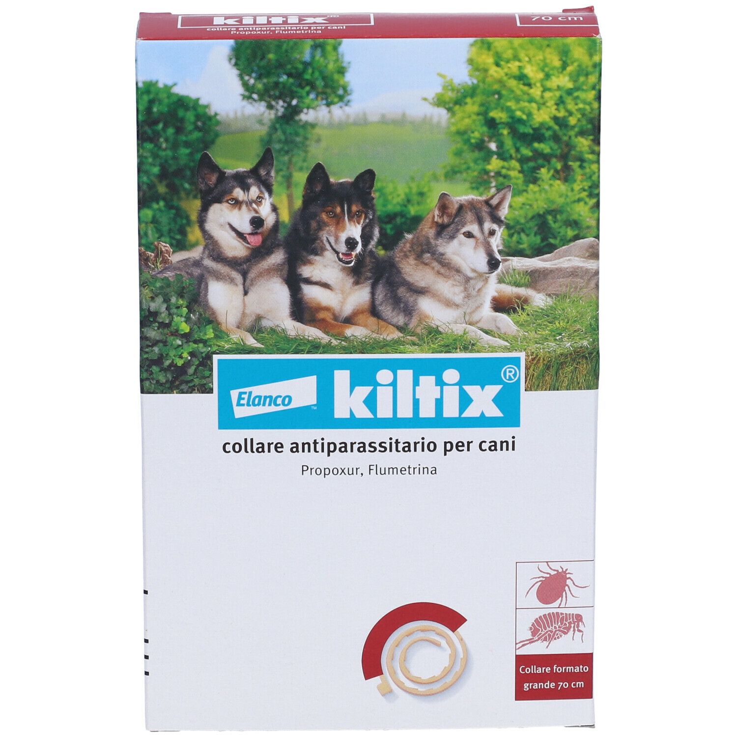 Vista frontale della confezione. Testo: Kiltix, Elanco, collare antiparassitario per cani. Immagine di cani.