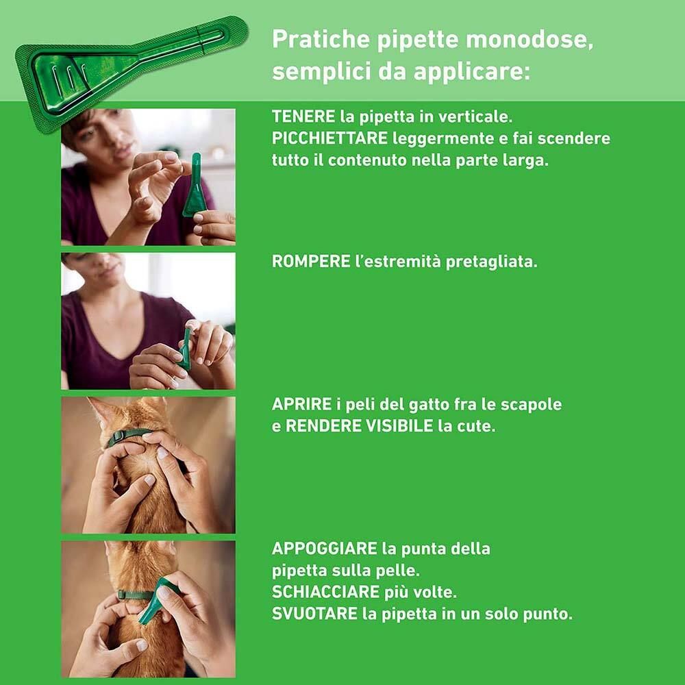 Istruzioni per l'uso delle pipette Frontline Combo Gatti. Mostra i passaggi.