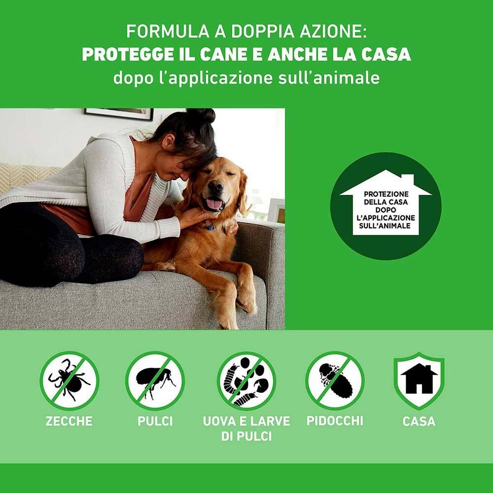 Grafica con simboli zecche, pulci, uova, larve e casa. Testo: Protegge il cane e la casa.