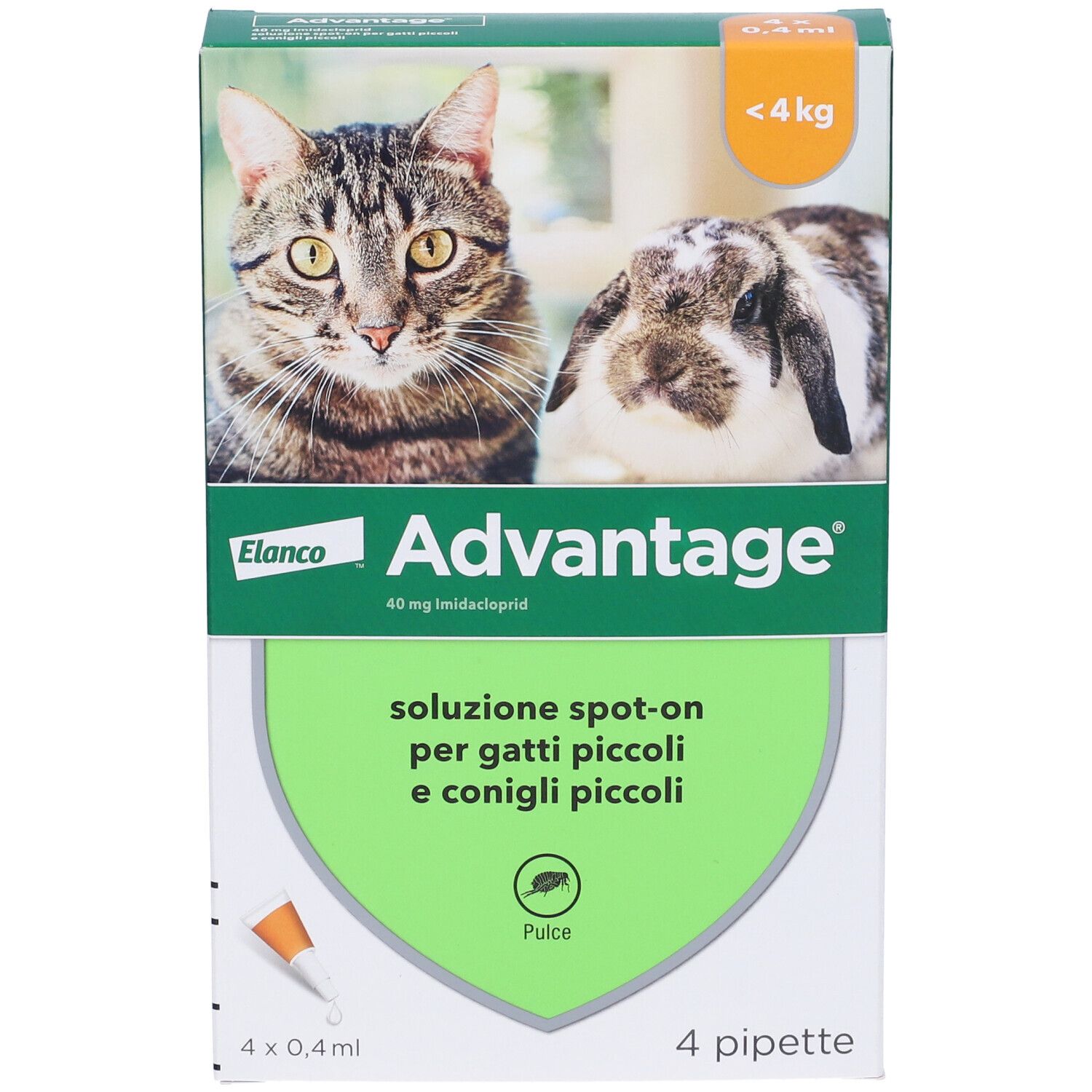 Vista frontale della confezione Advantage. Contiene 4 pipette. Immagine di gatto e coniglio.