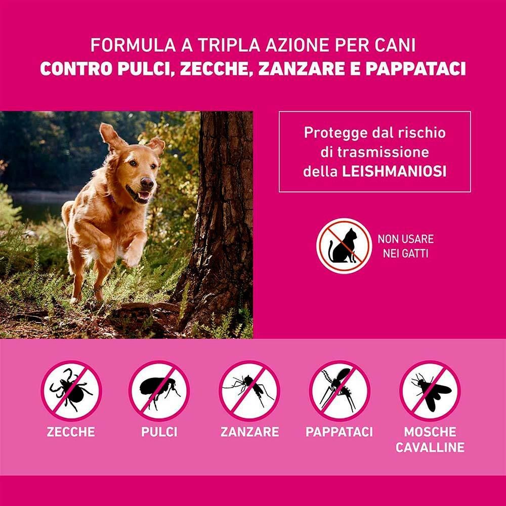 Sfondo rosa con cane. Testo: Formula contro pulci, zecche, zanzare e pappataci. Non usare nei gatti.