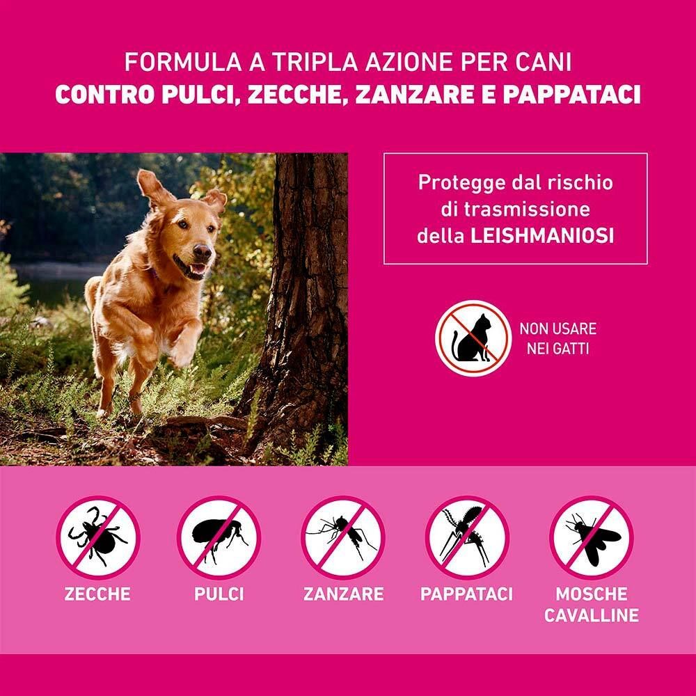 Sfondo rosa con illustrazioni di zecche, pulci, zanzare e altri insetti. Testo: Non usare nei gatti.