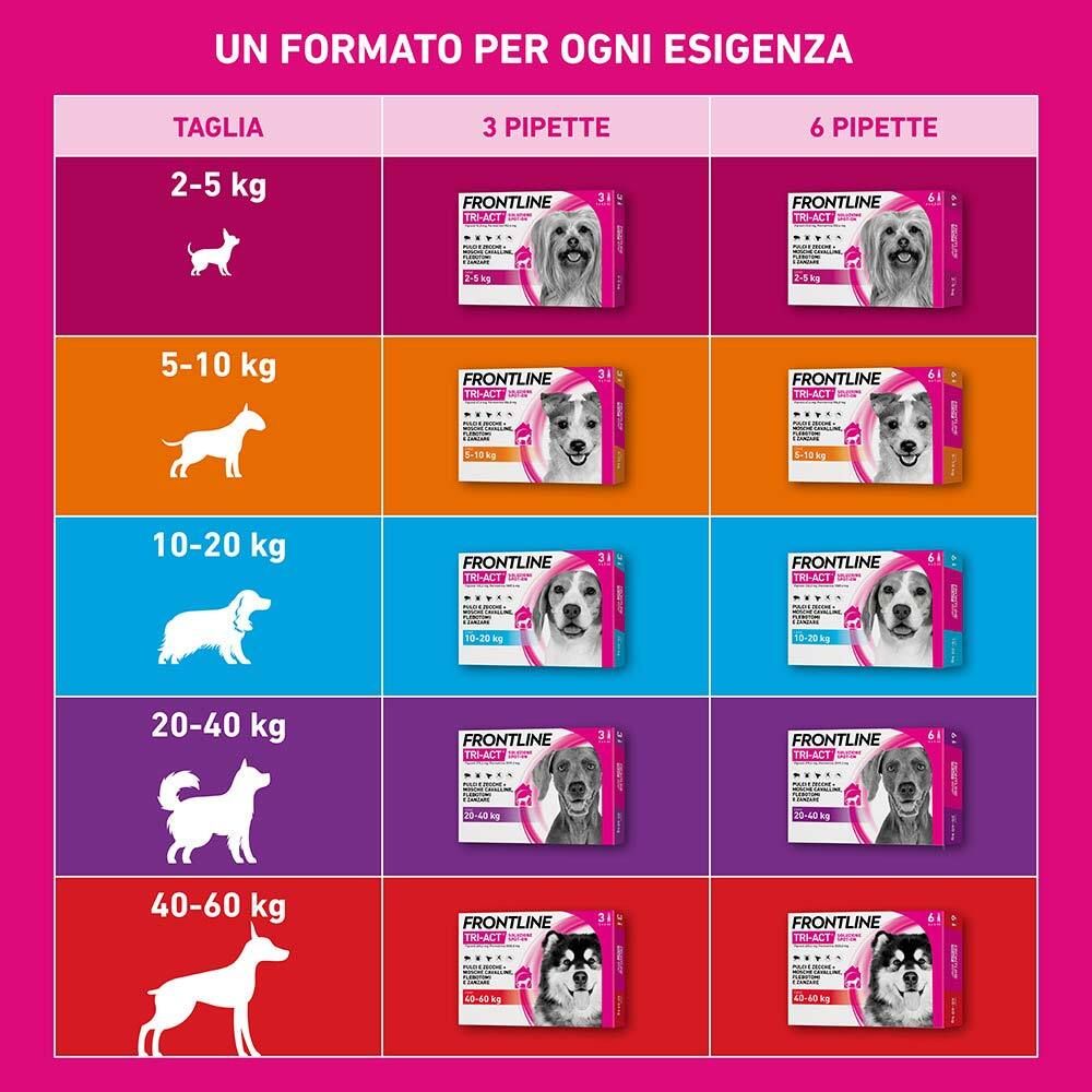 Tabella con diverse taglie di Frontline Tri-Act per cani. Taglie: 2-5 kg, 5-10 kg, 10-20 kg, 20-40 kg, 40-60 kg.