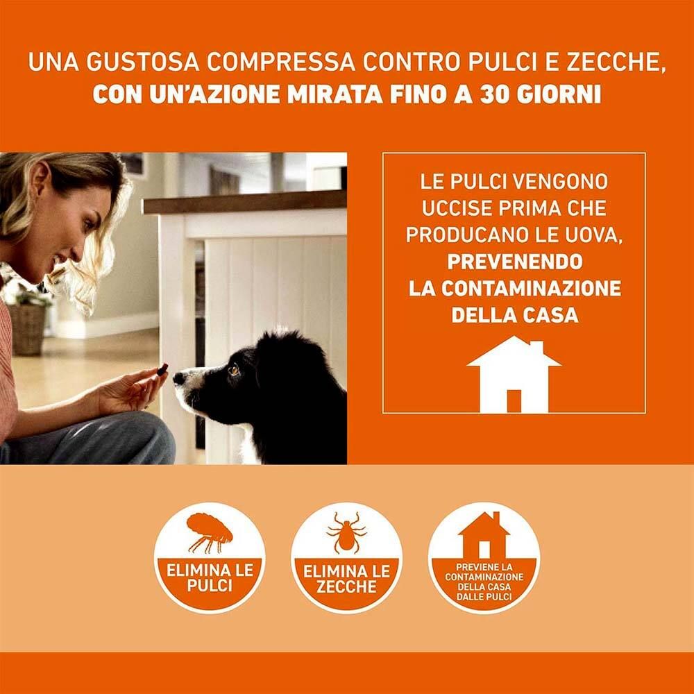 Immagine promozionale con donna e cane. Testo: Una gustosa compressa contro pulci e zecche, con un'azione fino a 30 giorni.