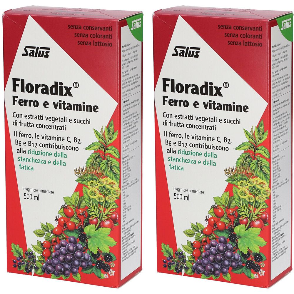 Image of Floradix® Ferro e Vitamine