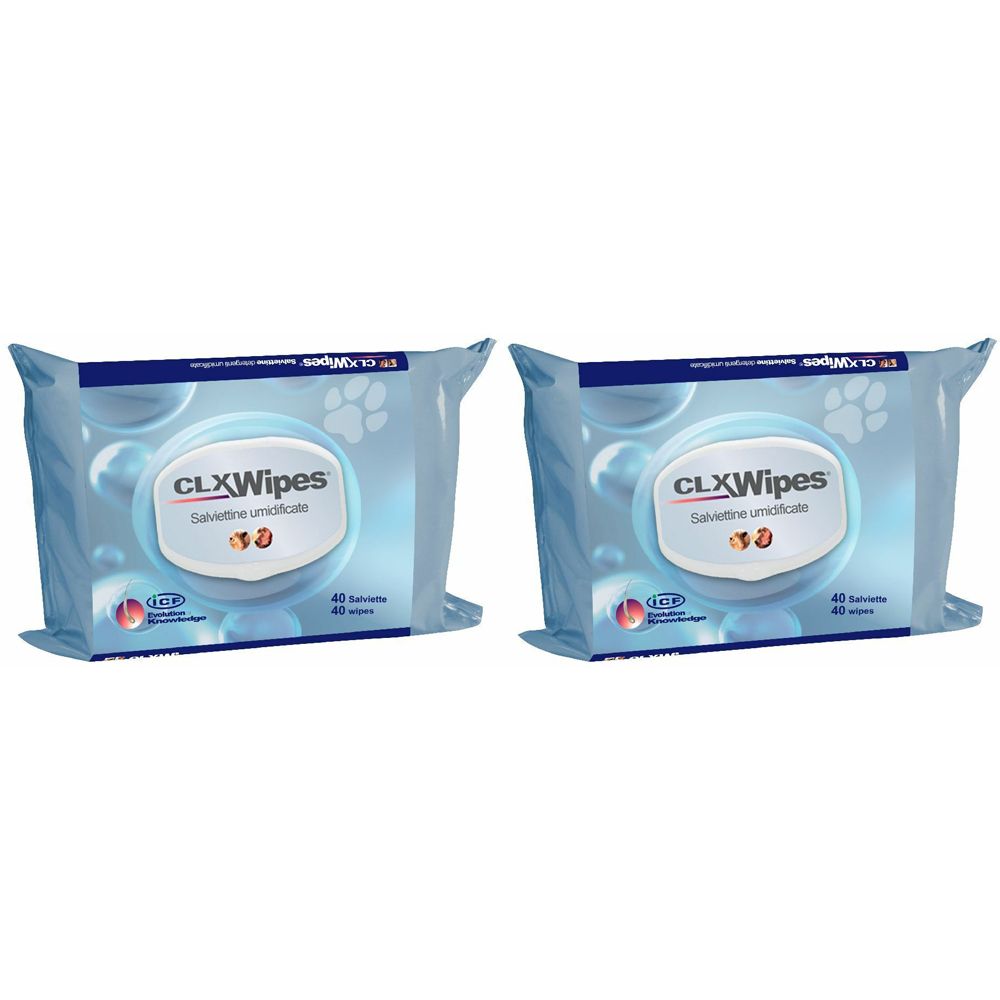 CLX® Wipes Salviettine Detergenti Umidificate Set da 2