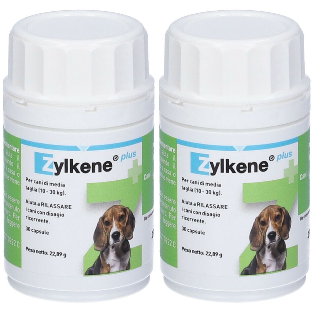 ZYLKENE Plus Set da 2