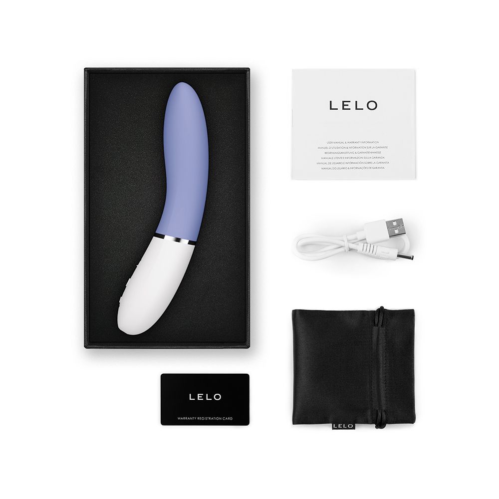 Box mit Vibrator, Kabel, Beutel, Karte und Anleitung. Marke LELO.