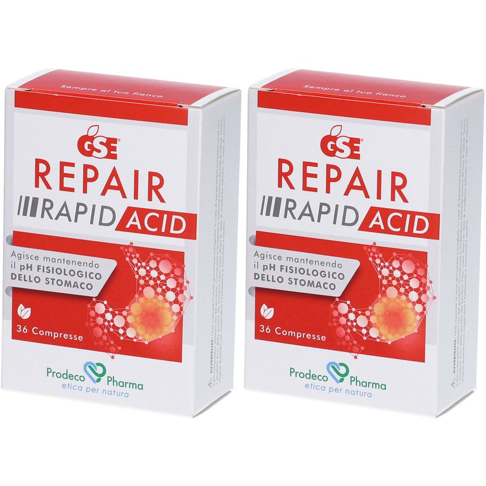 GSE Repair Rapid Acid Set da 2