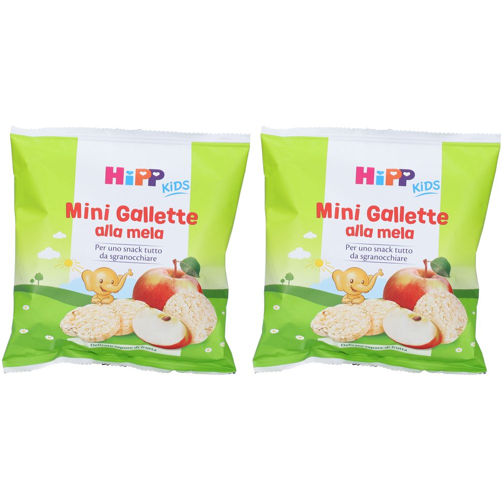 Hipp Gallette di Riso alla Mela Set da 2