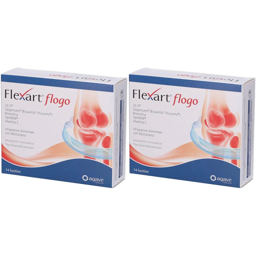 Flexart Flogo Bustine Set da 2