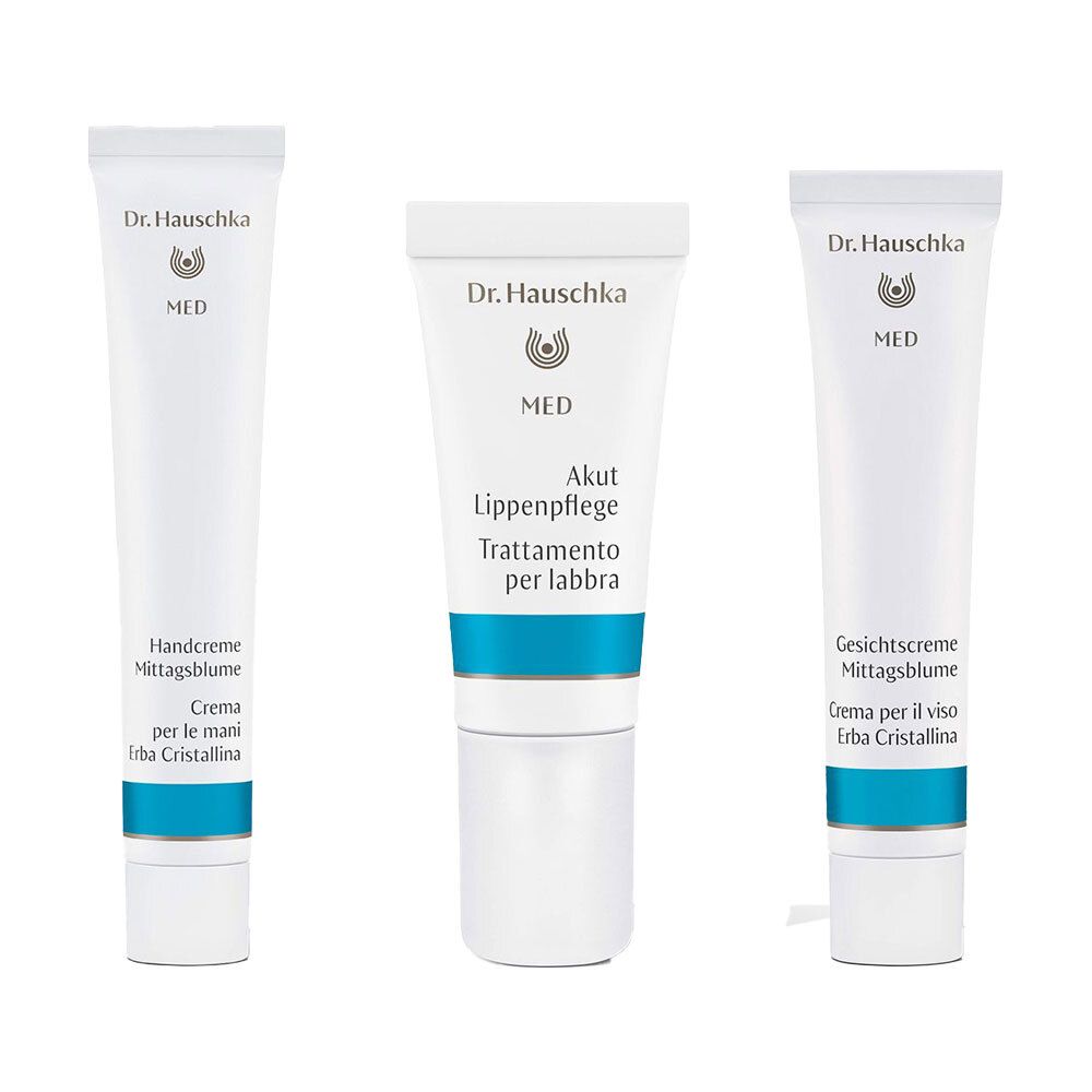 Dr. Hauschka Crema per il Viso Erba Cristallina + Trattamento per Labbra + Crema Mani Erba Cristallina