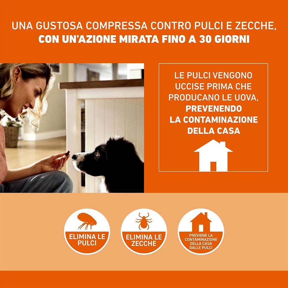 Infografica: donna dà compressa a cane. Testo: uccide le pulci, previene la contaminazione della casa. Simboli: pulce, zecca, casa.