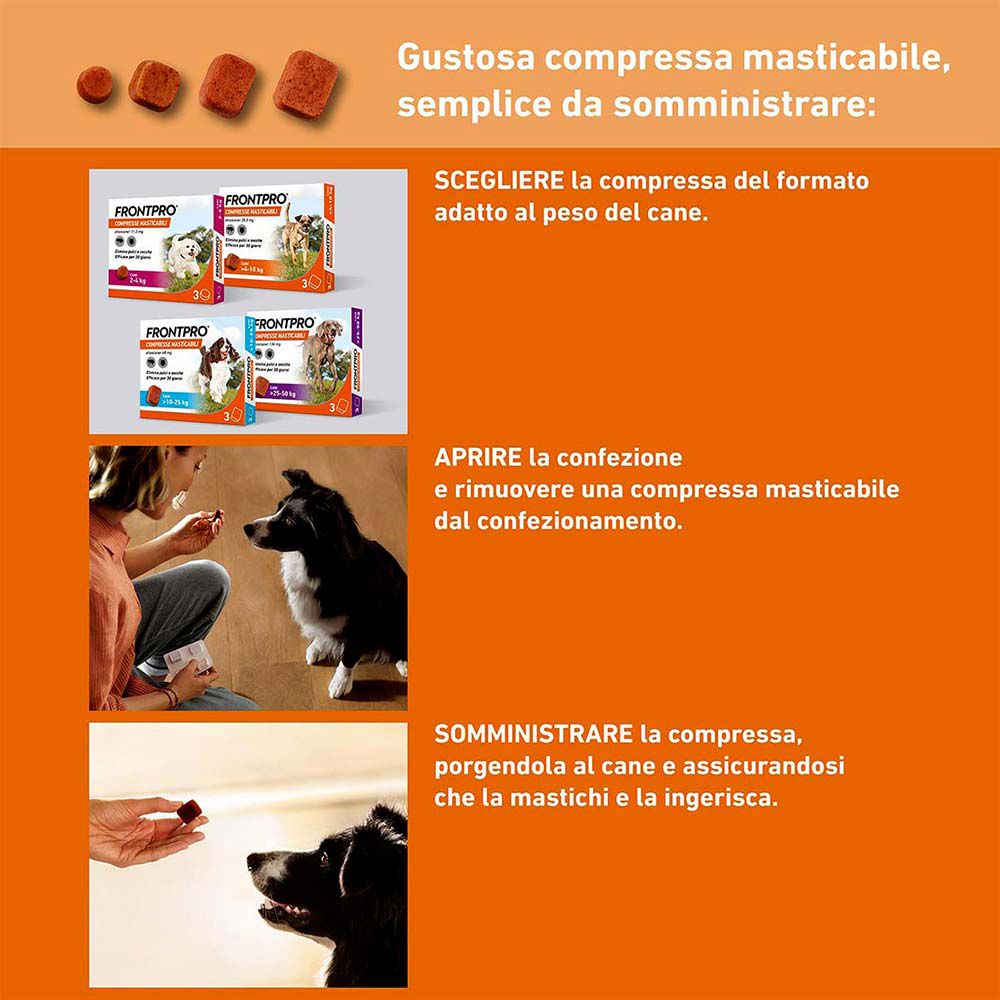 Infografica: compressa. Passaggi: scelta, apertura, somministrazione. Donna dà compressa a cane. Testo: facile somministrazione.