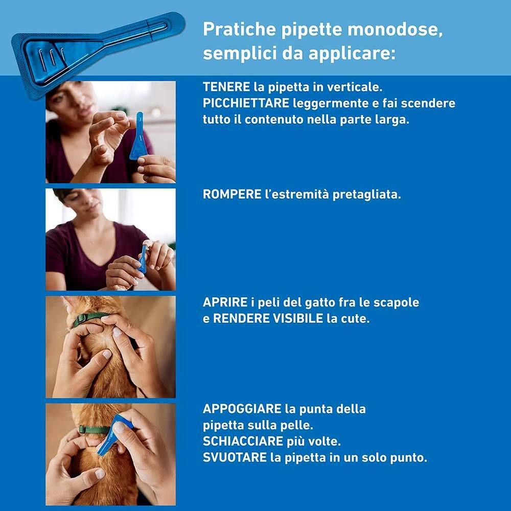 Fasi di applicazione delle pipette. Donna mostra l'applicazione sul gatto. Testo: Pratiche pipette monodose, semplici da applicare.