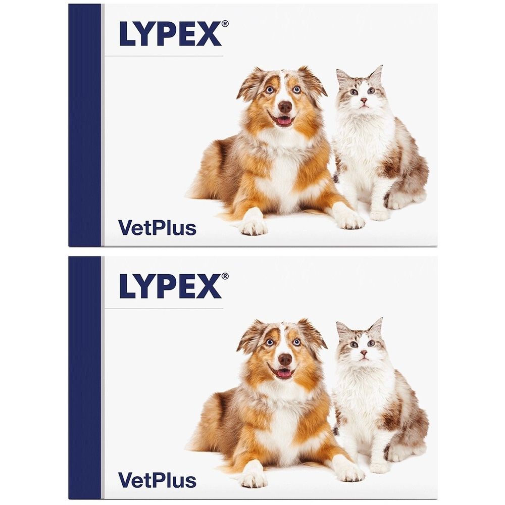 Lypex 60 Capsule