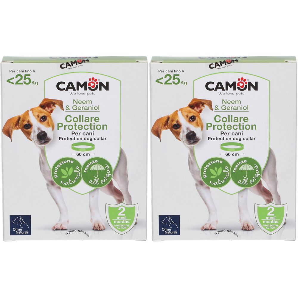 Protection Collare Barriera Per Cane
