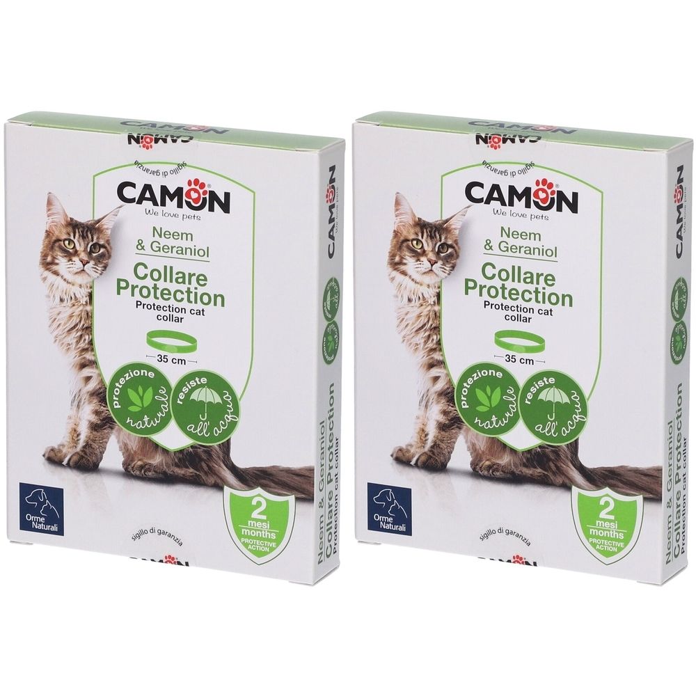 Protection Collare Barriera Gatto