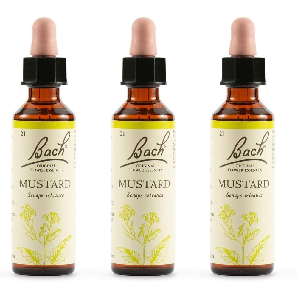 Schwabe Pharma Fiori di Bach Mustard