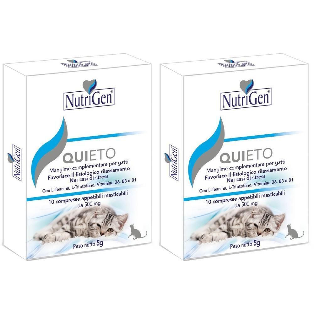 Quieto Gatto 10Tav