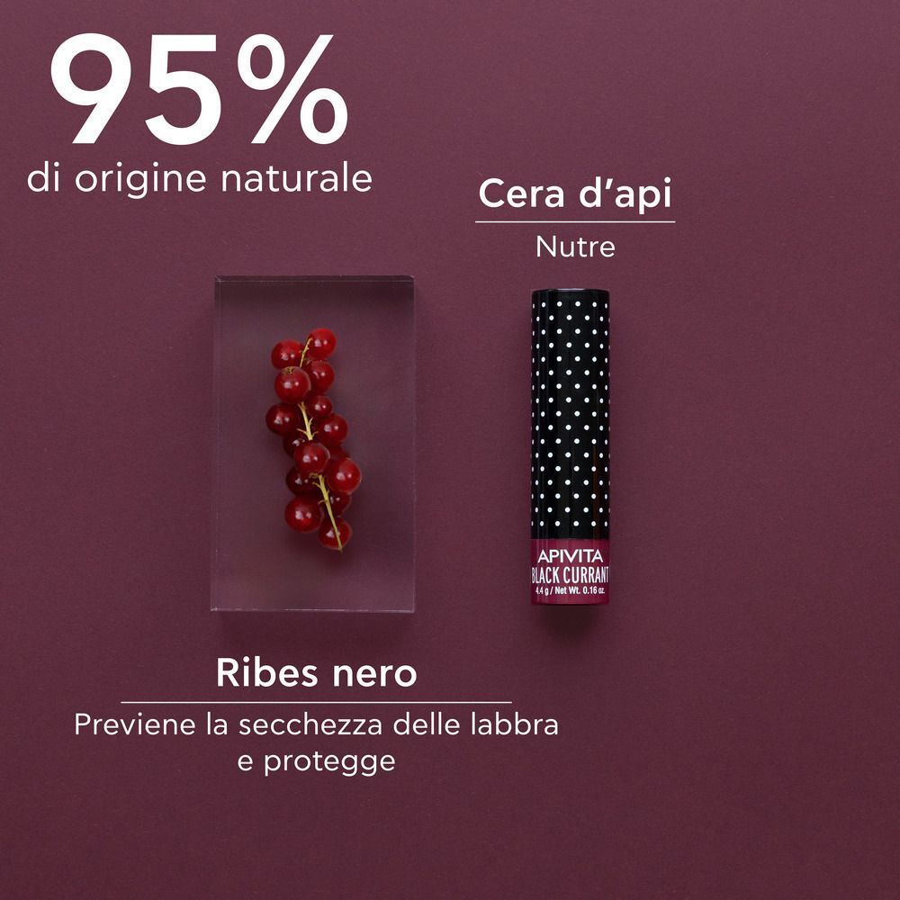 Balsamo labbra ribes nero, 95% origine naturale, cera d'api ed estratto di ribes.