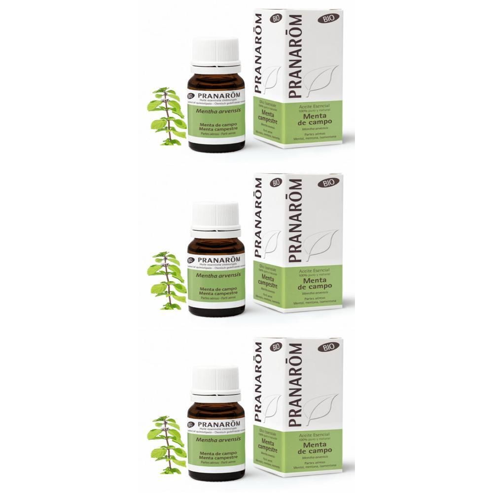 Tre flaconi di olio essenziale di menta campestre con scatole e foglie di menta.