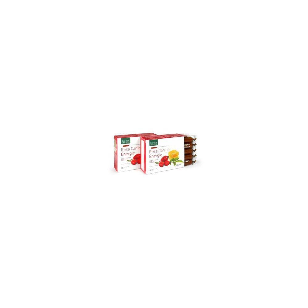 Rosa Canina Energie Biologico 10 Ampolle Bevibili Da 10 Ml
