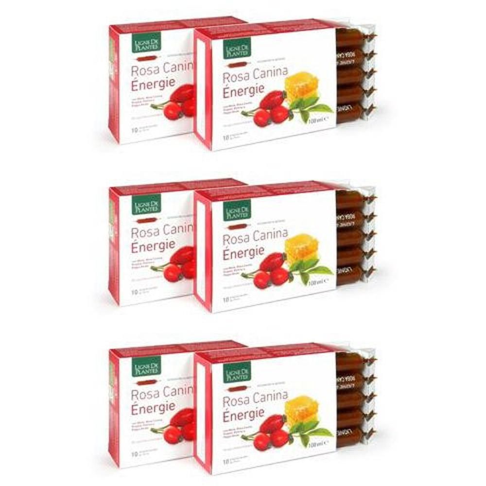 Rosa Canina Energie Biologico 10 Ampolle Bevibili Da 10 Ml