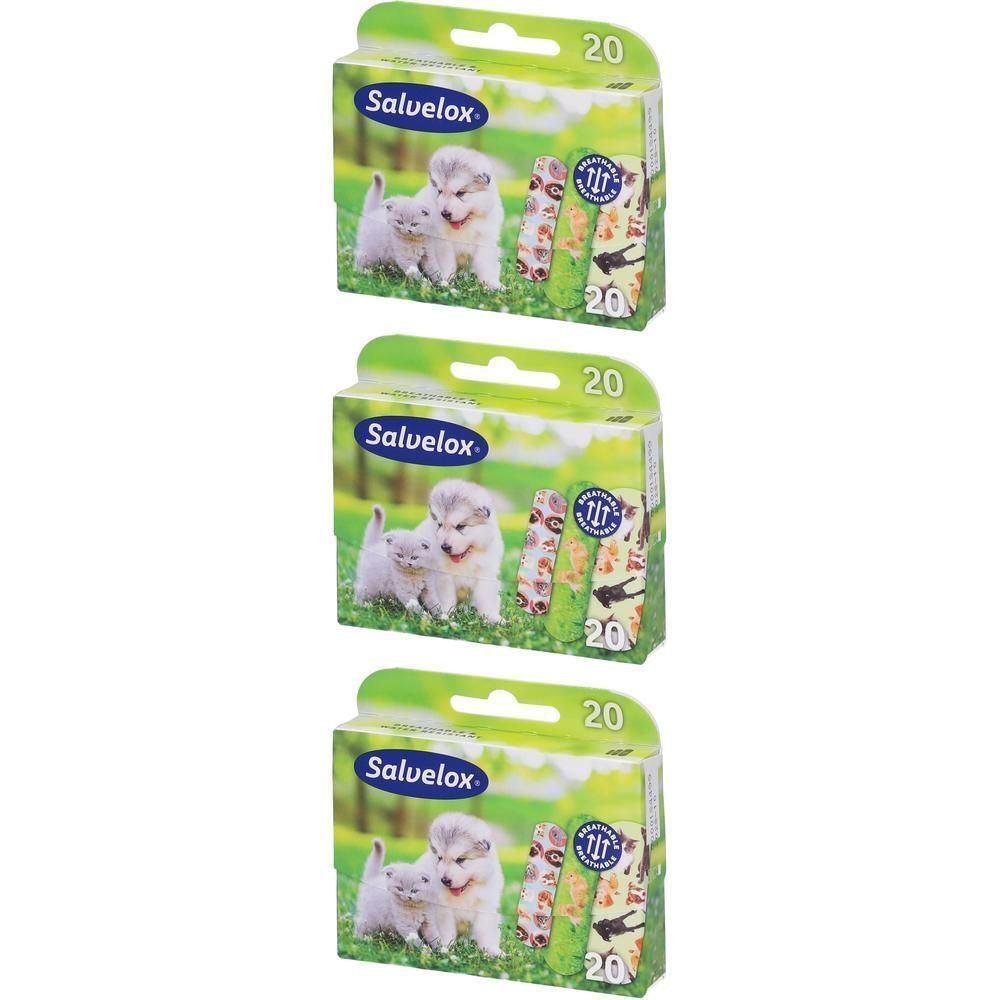 Tre confezioni di cerotti Salvelox per animali, 20 pezzi per confezione. La parte anteriore mostra cuccioli e gattini.