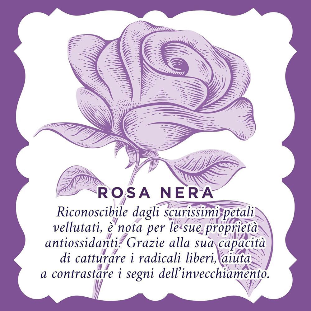 Illustrazione di una rosa nera con testo sulle sue proprietà antiossidanti.
