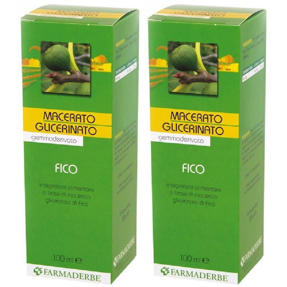 Macerato Glicerico Fico Gemme Ficus Carica 100 Ml