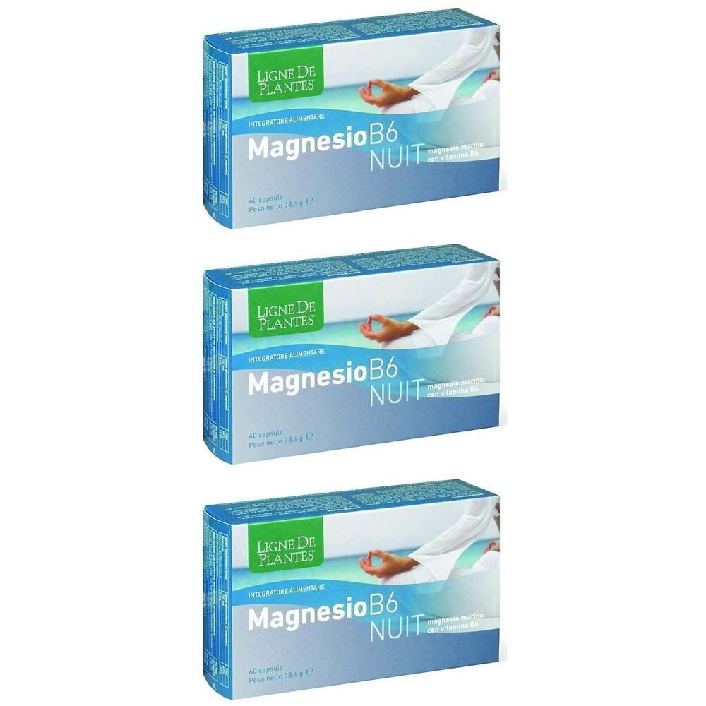 Magnesio B6 Nuit Capsule