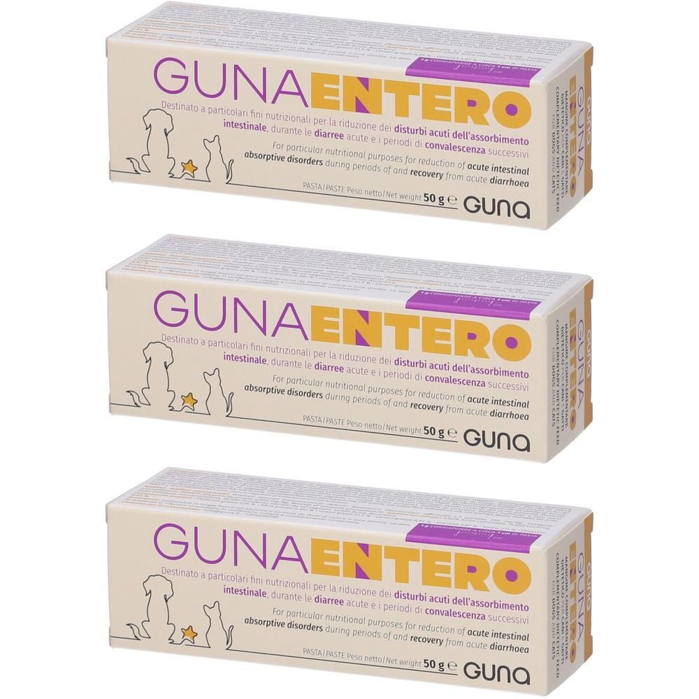 Gunaentero Pasta Complementare per Cani e Gatti