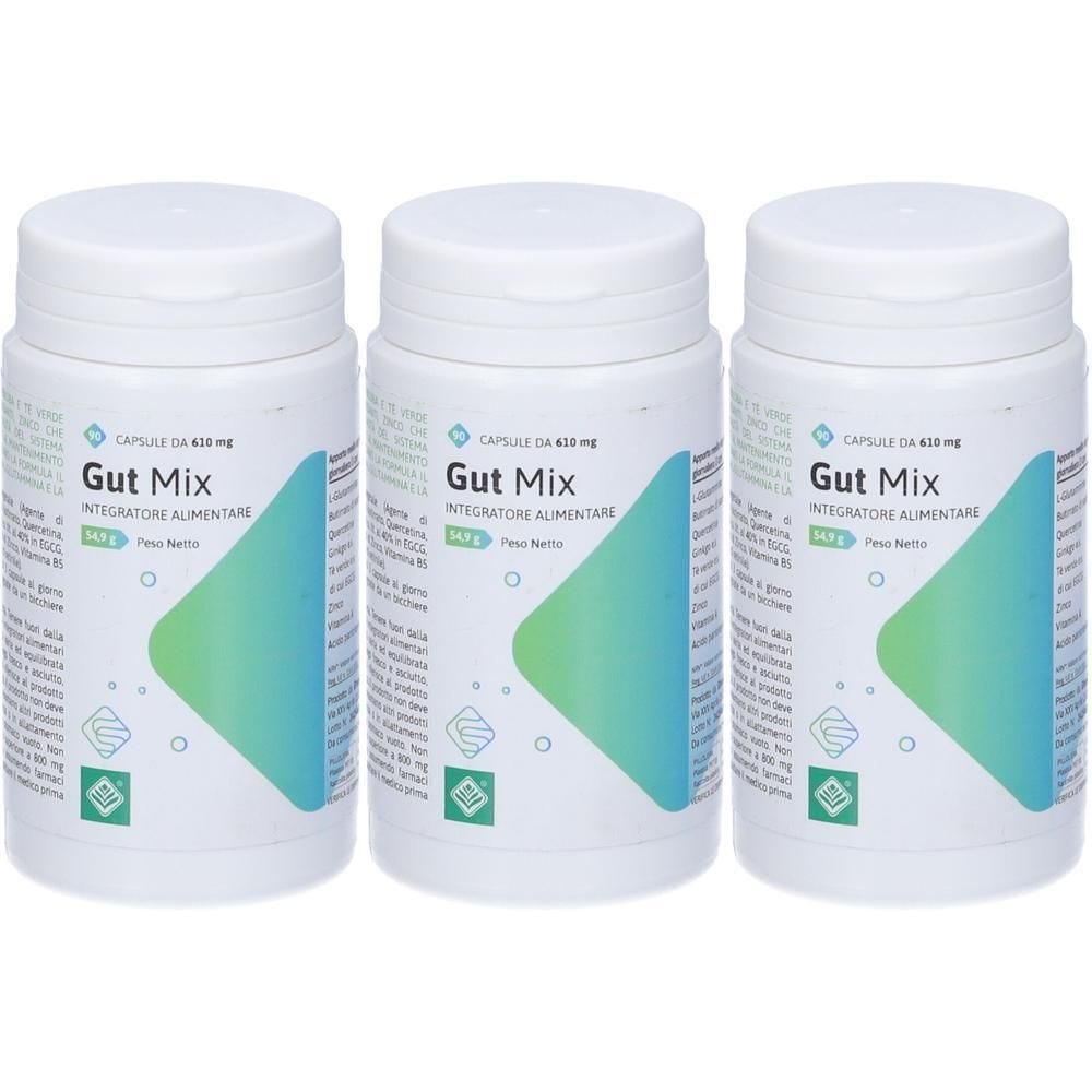 Gut Mix 90 Capsule