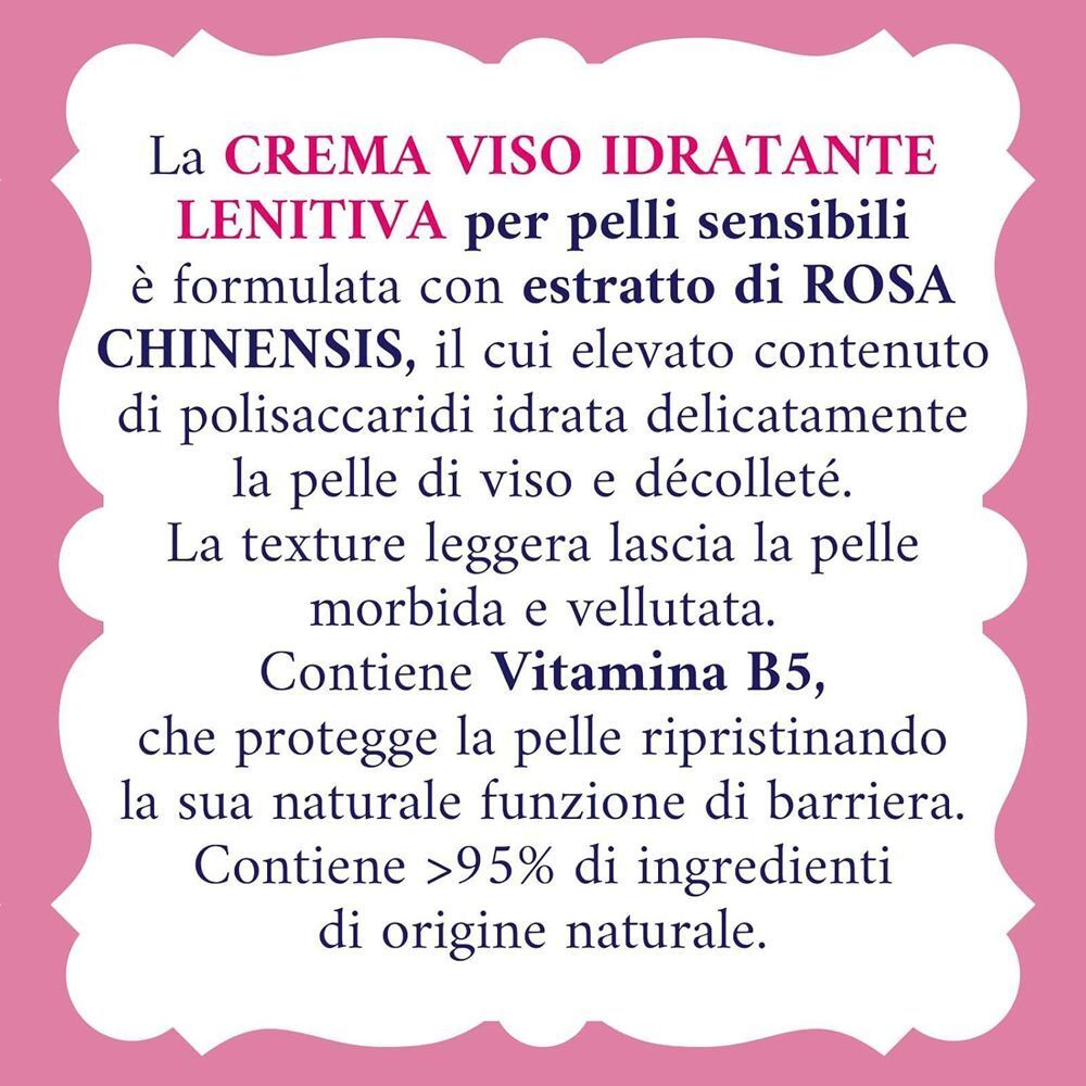Testo su una confezione di Crema Viso Idratante Lenitiva Acqua alle Rose: ingredienti, effetti e texture.