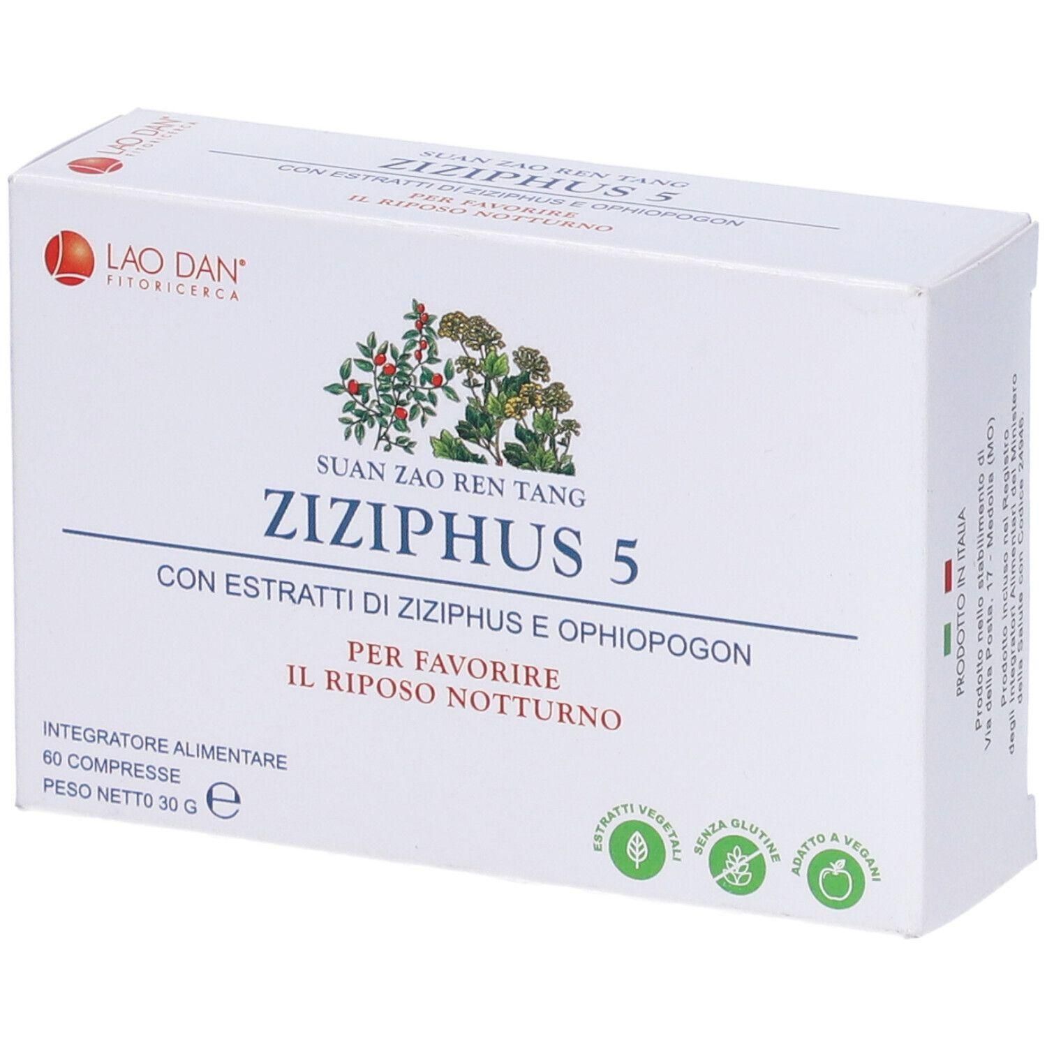 Lao Dan Ziziphus 5