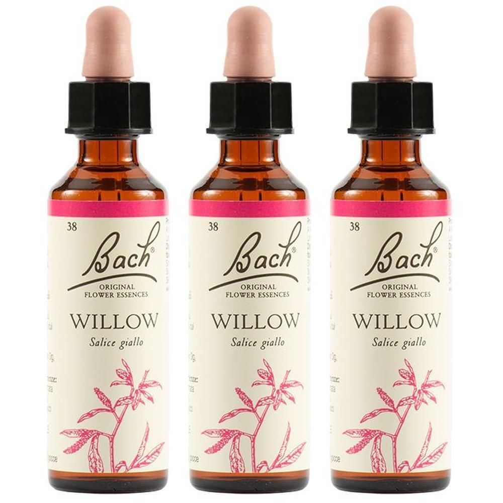 Willow Bach Orig