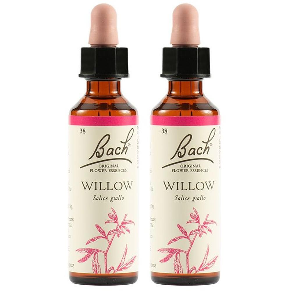 Willow Bach Orig