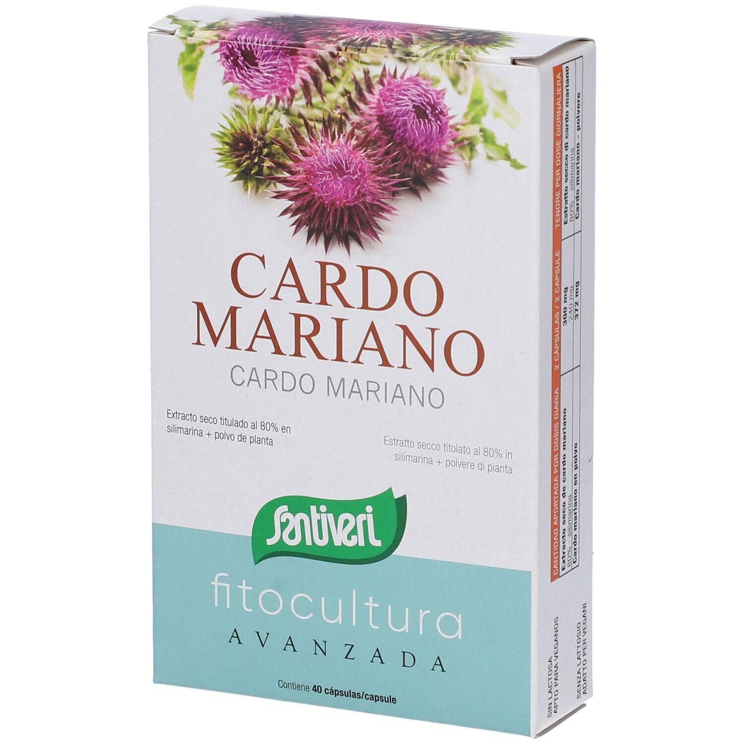 Confezione con immagine di cardo mariano, scritta "Cardo Mariano" e "Santiveri".