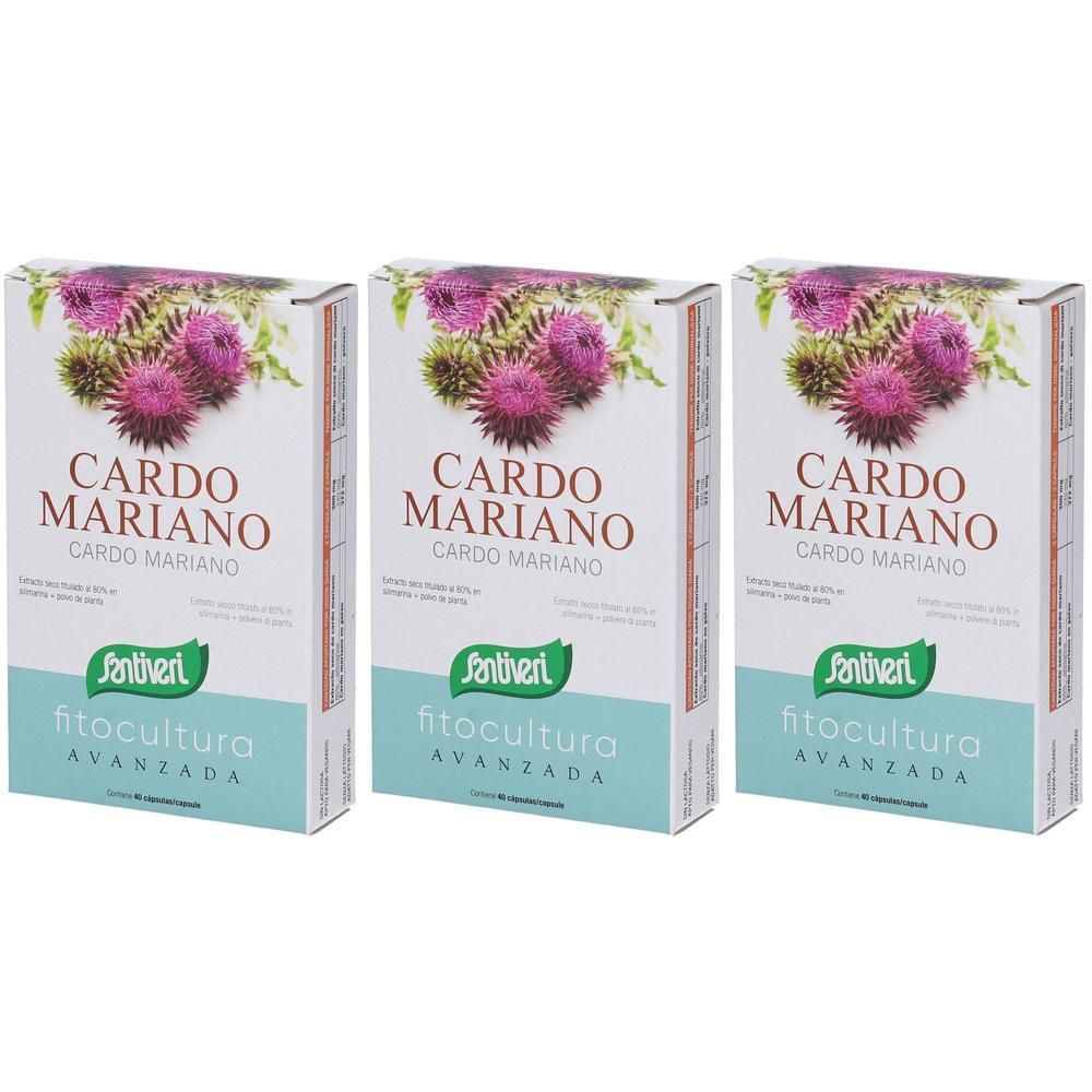 Santiveri Cardo Mariano