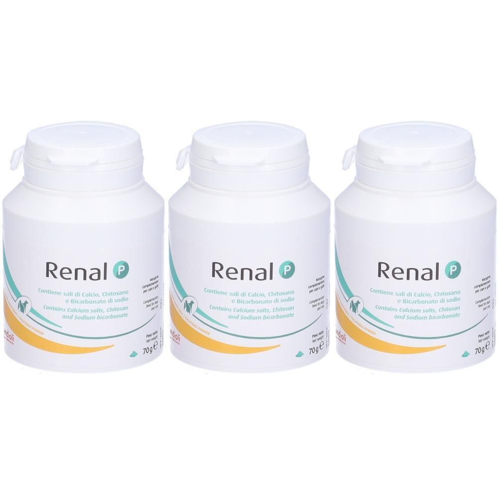 Tre barattoli Renal P per cani, 70g.