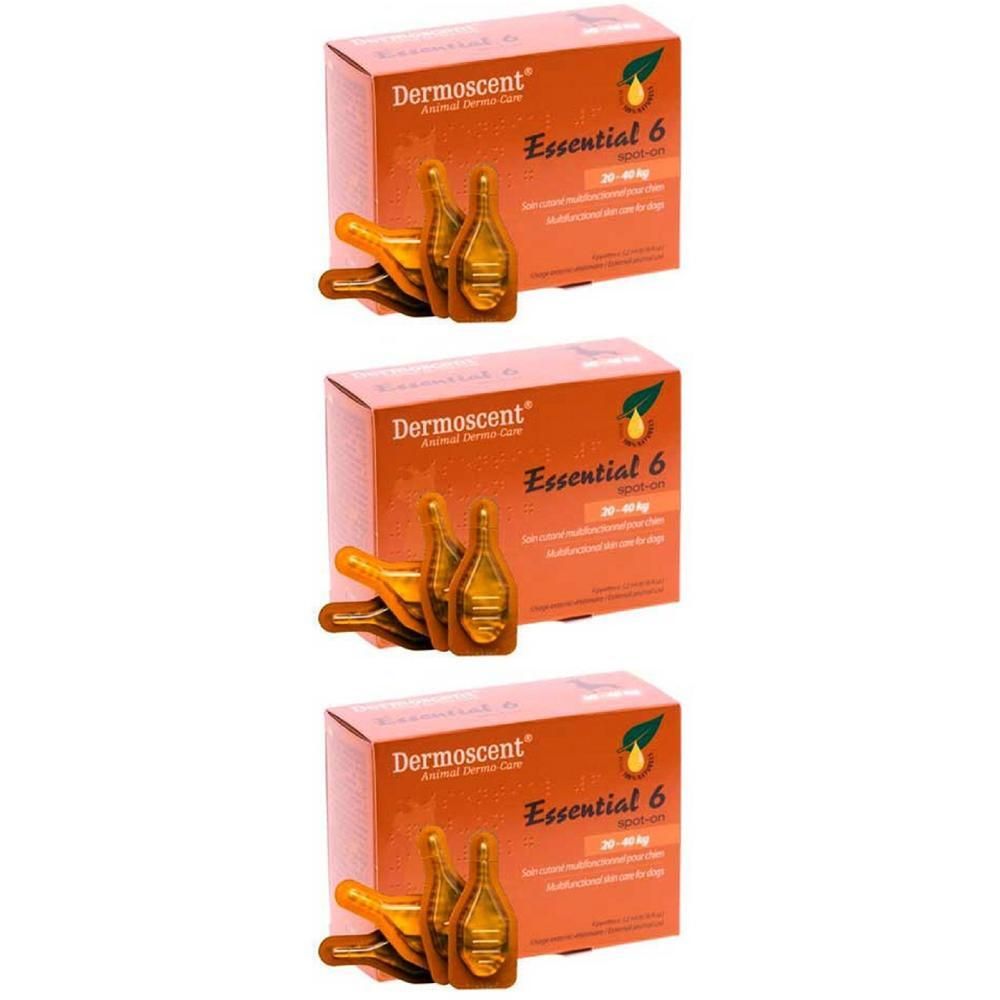 Essential 6 Spot On Cane 20/40 Kg 4 Pipette 2,4 Ml