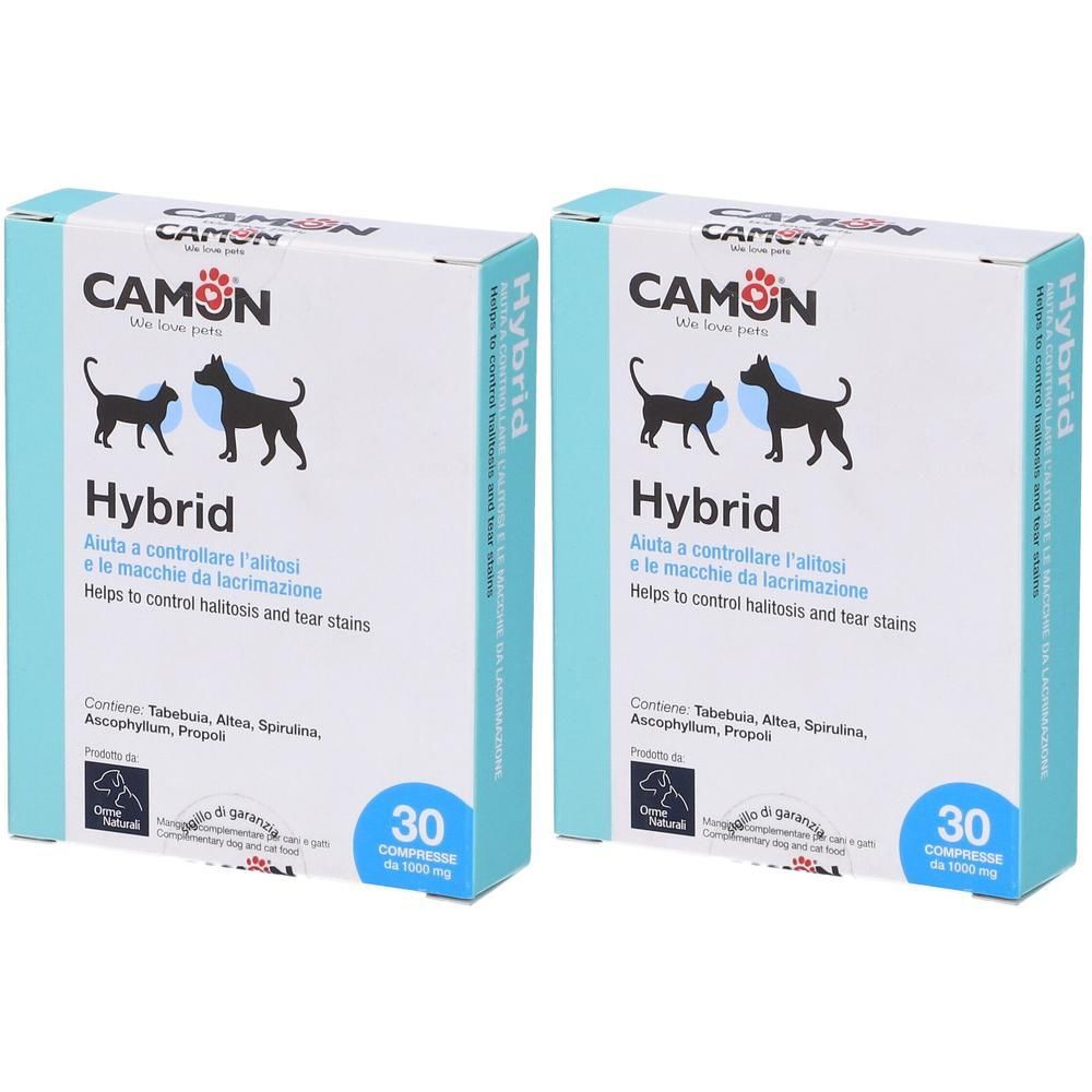 Due confezioni di Camon Artosalus per cani, supporto al metabolismo articolare in caso di osteoartrite.