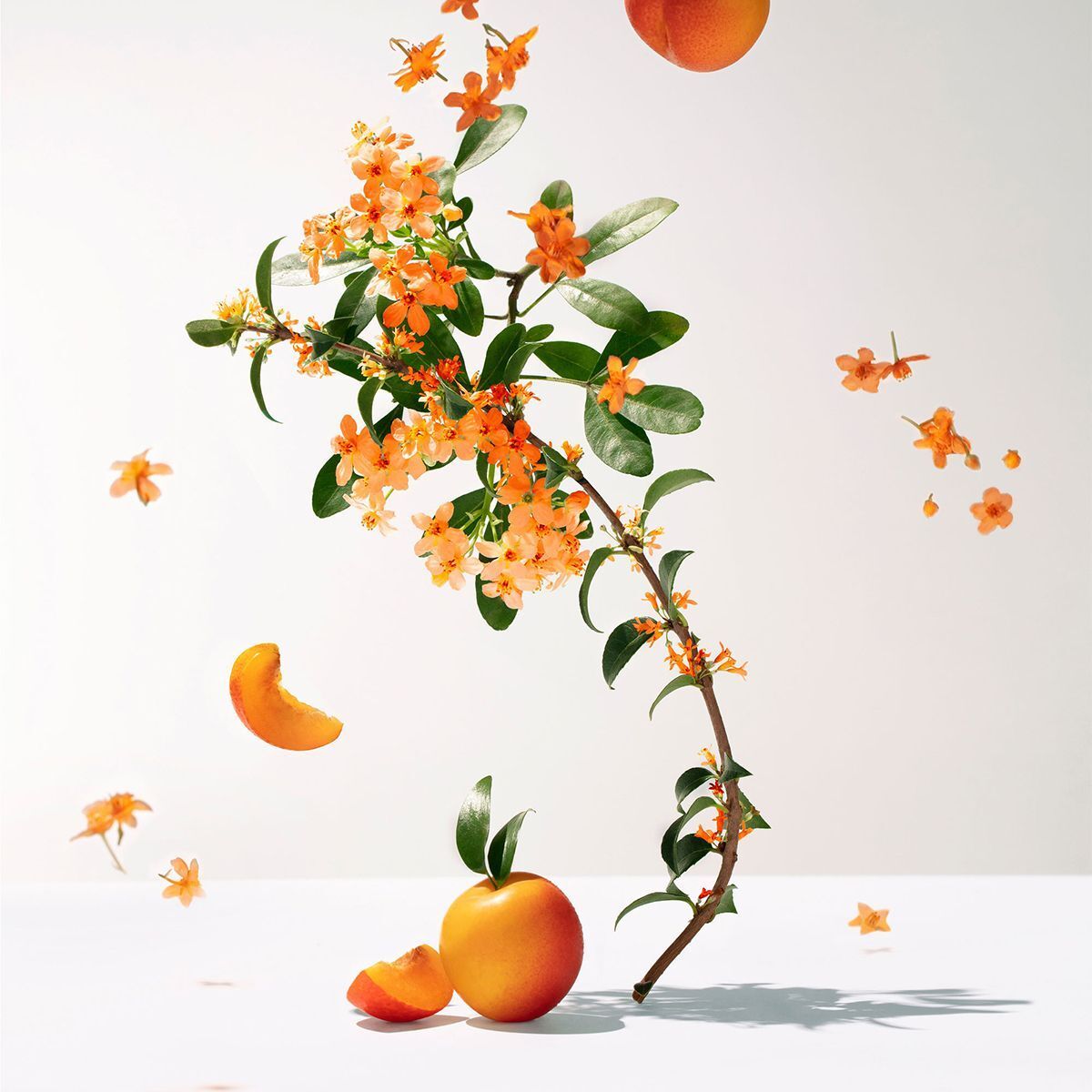 ROGER&GALLET Fleur D'osmanthus - Acqua Profumata Di Benessere
