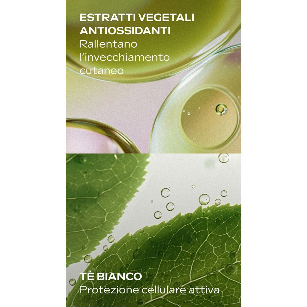 WELEDA Siero Antiossidante Protettivo: estratti vegetali e tè bianco.