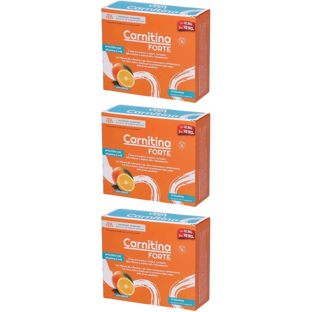 Sanavita Carnitina Forte Bustine