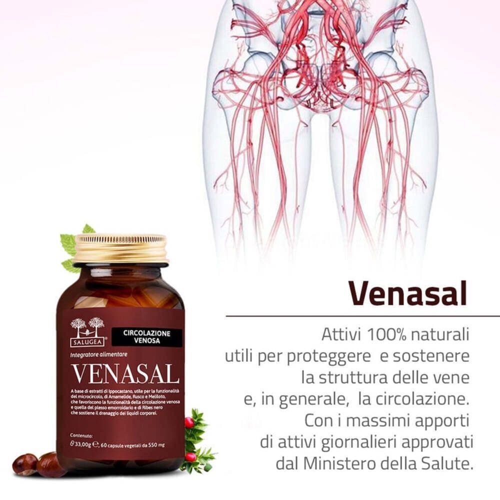 Flacone Venasal Salugea accanto a un'illustrazione del sistema venoso.